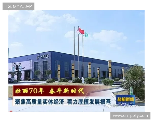 当前发展phase资源分配优化 聚焦高效益环节